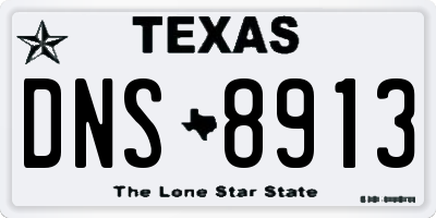 TX license plate DNS8913
