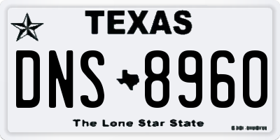 TX license plate DNS8960