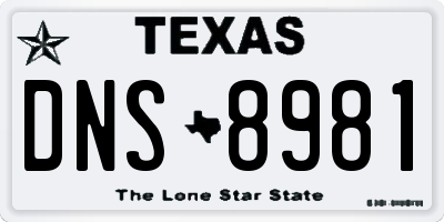 TX license plate DNS8981