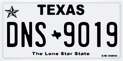 TX license plate DNS9019