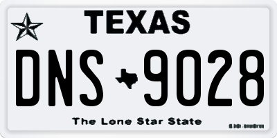 TX license plate DNS9028