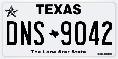 TX license plate DNS9042