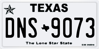 TX license plate DNS9073