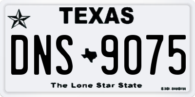 TX license plate DNS9075