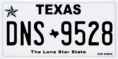 TX license plate DNS9528