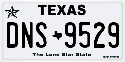 TX license plate DNS9529