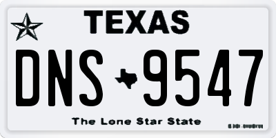TX license plate DNS9547