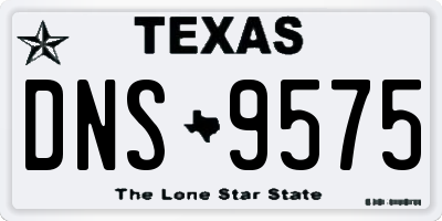 TX license plate DNS9575