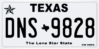 TX license plate DNS9828