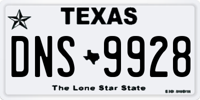 TX license plate DNS9928