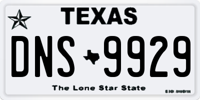 TX license plate DNS9929
