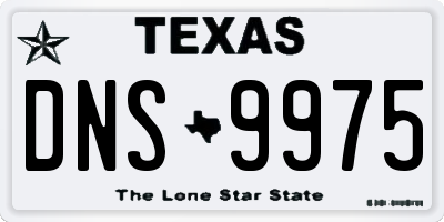 TX license plate DNS9975