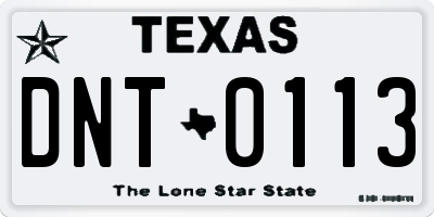 TX license plate DNT0113