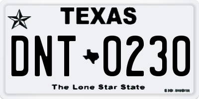 TX license plate DNT0230