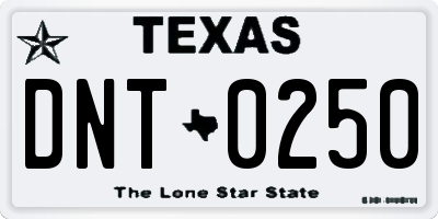 TX license plate DNT0250