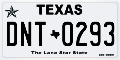 TX license plate DNT0293