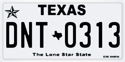 TX license plate DNT0313