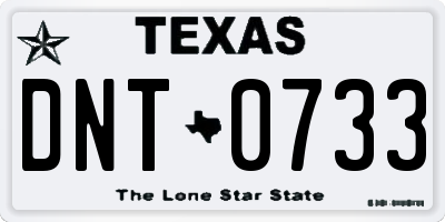 TX license plate DNT0733