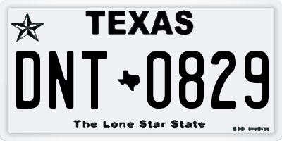 TX license plate DNT0829