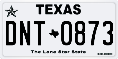 TX license plate DNT0873