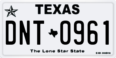TX license plate DNT0961