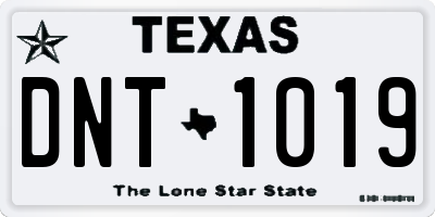 TX license plate DNT1019
