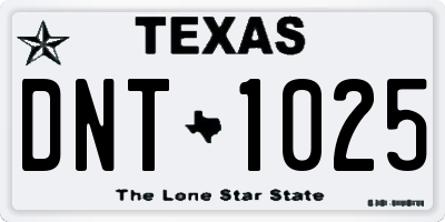 TX license plate DNT1025