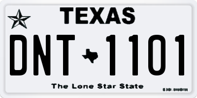 TX license plate DNT1101