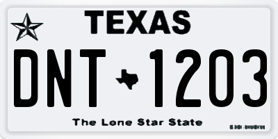 TX license plate DNT1203