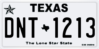 TX license plate DNT1213