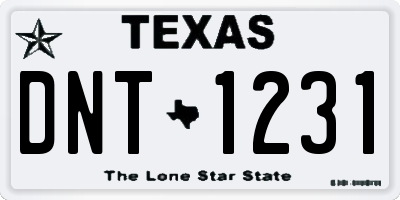 TX license plate DNT1231