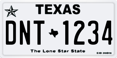 TX license plate DNT1234