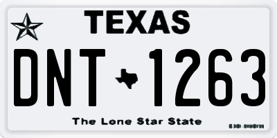 TX license plate DNT1263