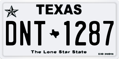 TX license plate DNT1287