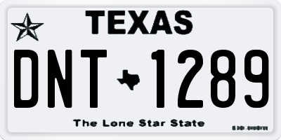 TX license plate DNT1289