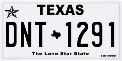 TX license plate DNT1291