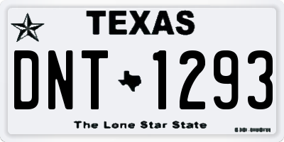 TX license plate DNT1293