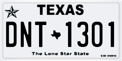 TX license plate DNT1301