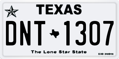 TX license plate DNT1307