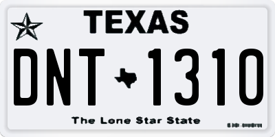 TX license plate DNT1310