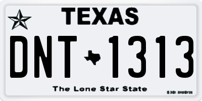 TX license plate DNT1313
