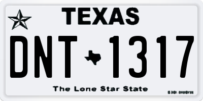 TX license plate DNT1317