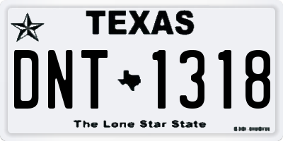 TX license plate DNT1318