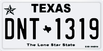 TX license plate DNT1319
