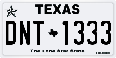TX license plate DNT1333