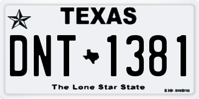TX license plate DNT1381