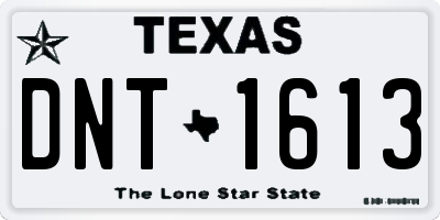 TX license plate DNT1613