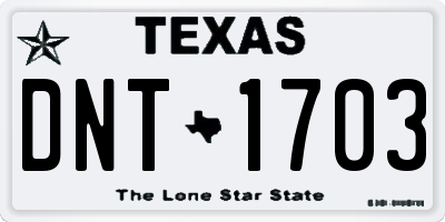 TX license plate DNT1703