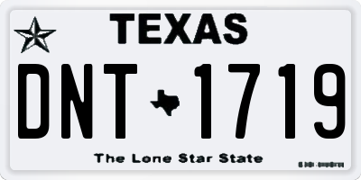 TX license plate DNT1719