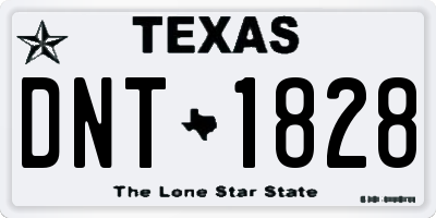 TX license plate DNT1828